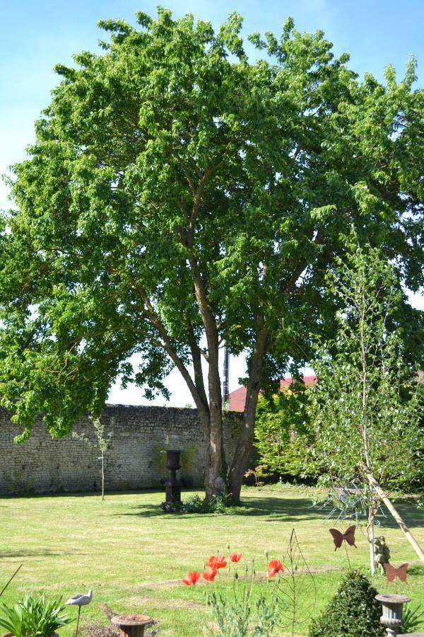 Bed and Breakfast La Maison Des Buis Falaise  Exterior foto